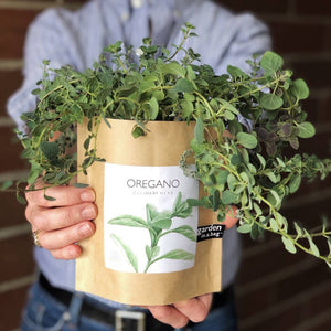 Potting Shed Creations, Ltd. - Garden in a Bag | Oregano | Great gift for Cooks