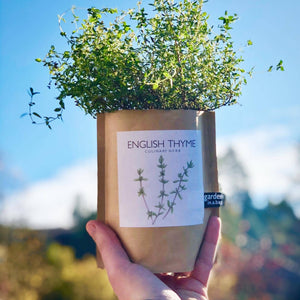 Potting Shed Creations, Ltd. - Garden in a Bag | English Thyme | Great gift for Cooks