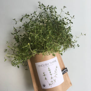 Potting Shed Creations, Ltd. - Garden in a Bag | English Thyme | Great gift for Cooks