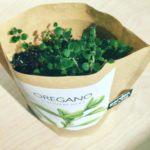 Potting Shed Creations, Ltd. - Garden in a Bag | Oregano | Great gift for Cooks