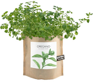 Potting Shed Creations, Ltd. - Garden in a Bag | Oregano | Great gift for Cooks