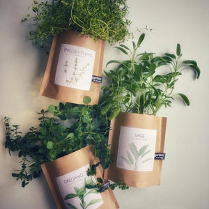 Potting Shed Creations, Ltd. - Garden in a Bag | English Thyme | Great gift for Cooks