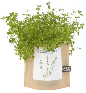 Potting Shed Creations, Ltd. - Garden in a Bag | English Thyme | Great gift for Cooks