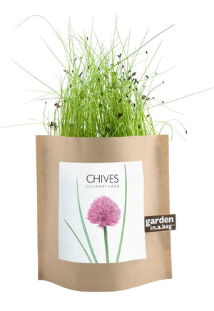 Potting Shed Creations, Ltd. - Garden in a Bag | Chives | Great Gift for Cooks