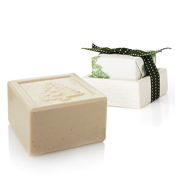 Frasier Fir Gift Set  Hand Cream, Travel Tin, Bar Soap — Wooden Nickel