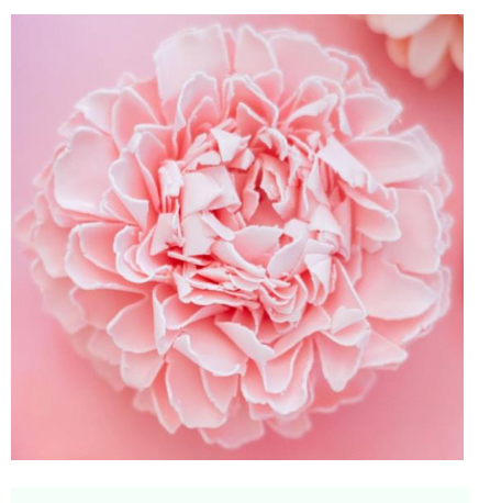 Pink Frills Soap Flower